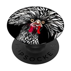 Funny polish chicken for sale  Delivered anywhere in USA 