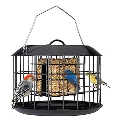 Kingsyard squirrel proof for sale  Delivered anywhere in USA 