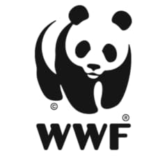 Wwf videos for sale  Delivered anywhere in USA 
