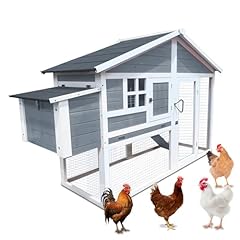Market eggs chicken for sale  Delivered anywhere in UK
