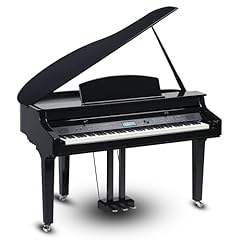 Fame grand 3100 usato  Spedito ovunque in Italia 