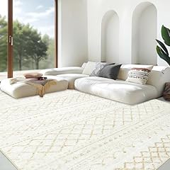 Area rug living for sale  Delivered anywhere in USA 