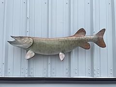 Musky full mount for sale  Delivered anywhere in USA 