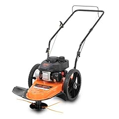BLACK+DECKER 25A-26S5736 4-Cycle Gas Powered 22-Inch for sale  Delivered anywhere in USA 