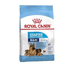 Royal canin royal usato  Spedito ovunque in Italia 