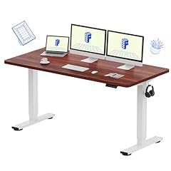 Flexispot en1 one for sale  Delivered anywhere in USA 