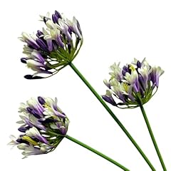 Dodxiaobeul 3pcs long for sale  Delivered anywhere in USA 