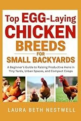 Top egg laying for sale  Delivered anywhere in USA 