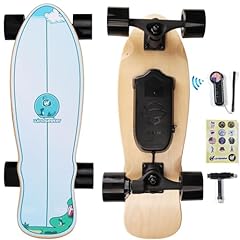 Electric skateboard electric for sale  Delivered anywhere in USA 