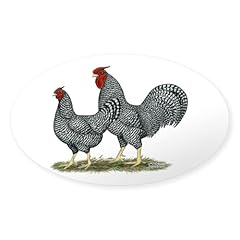 Cafepress dominique chickens for sale  Delivered anywhere in USA 