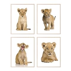 Insire lion pictures for sale  Delivered anywhere in USA 