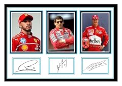 Lewis hamilton ayrton for sale  Delivered anywhere in UK