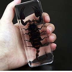 Triproc scorpion taxidermy for sale  Delivered anywhere in USA 