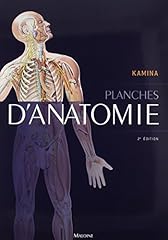 planche affiche anatomie d'occasion  Livré partout en France