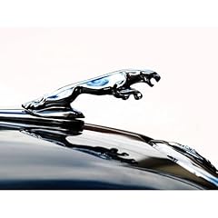 Artdirect jaguar hood for sale  Delivered anywhere in USA 