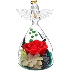 Dhoem angel preserved for sale  Delivered anywhere in USA 