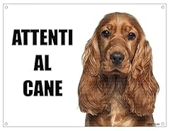 Cocker attenti cane usato  Spedito ovunque in Italia 