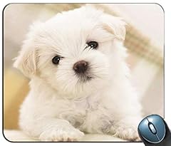 Cucciolo maltese tappetino usato  Spedito ovunque in Italia 
