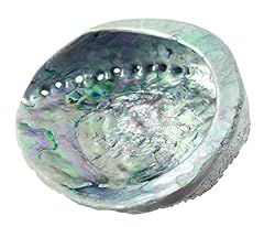 Hydrea london abalone for sale  Delivered anywhere in Ireland