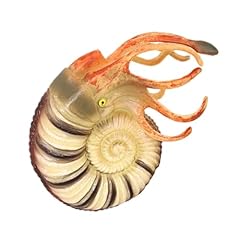Bcoath conch toy for sale  Delivered anywhere in USA 
