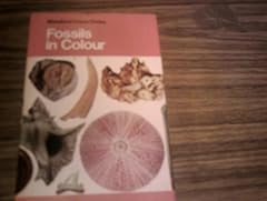 Fossils colour for sale  Delivered anywhere in UK