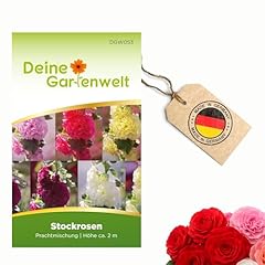 Stockrosen prachtmischung same gebraucht kaufen  Wird an jeden Ort in Deutschland