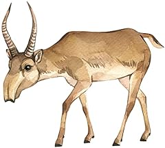 Samunshi saiga antilope gebraucht kaufen  Wird an jeden Ort in Deutschland