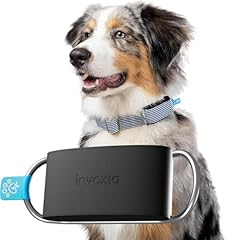 Invoxia minitailz plotter usato  Spedito ovunque in Italia 