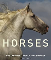 Horses for sale  Delivered anywhere in USA 