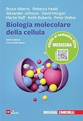 Biologia molecolare della usato  Spedito ovunque in Italia 