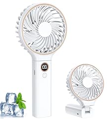 Poifl ventilatore portatile usato  Spedito ovunque in Italia 