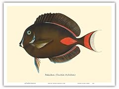 Pakuikui achilles tang for sale  Delivered anywhere in USA 