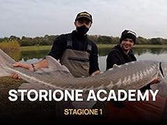 Storione academy usato  Spedito ovunque in Italia 