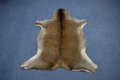 Real red deer for sale  Delivered anywhere in USA 