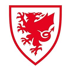 Welsh football badge for sale  Delivered anywhere in UK