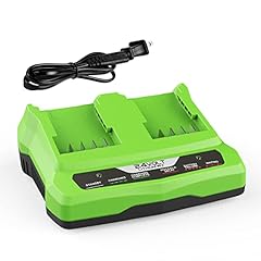Energup dual port for sale Energup dual port for sale  Delivered anywhere in USA