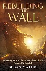 Rebuilding wall restoring for sale  Delivered anywhere in USA 