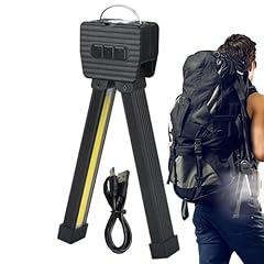 Gym lamp light usato  Spedito ovunque in Italia 
