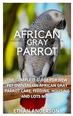 African gray parrot for sale  Delivered anywhere in UK