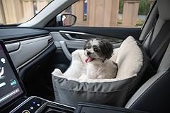 Best pet supplies for sale  Delivered anywhere in USA 