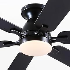 Ceiling fans lights for sale  Delivered anywhere in USA 