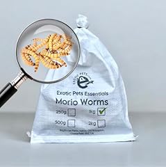 Exoticpetsessentials live mori for sale  Delivered anywhere in UK