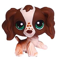 Springer cocker spaniel for sale  Delivered anywhere in USA 