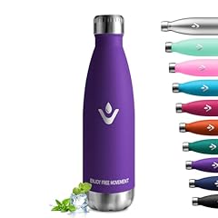 Bouteille isotherme 500ml d'occasion  Livré partout en France