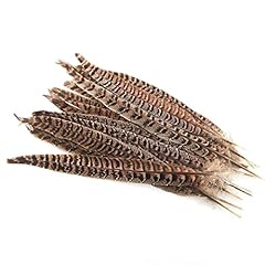 Natural pheasant tails for sale  Delivered anywhere in USA 