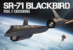 Blackbird usato  Spedito ovunque in Italia 