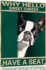 Toppacific boston terrier for sale  Delivered anywhere in USA 