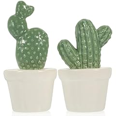 Popetpop ceramica cactus usato  Spedito ovunque in Italia 