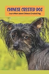 Chinese crested dog usato  Spedito ovunque in Italia 