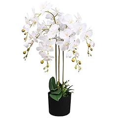 Leaf feuille orchidée d'occasion  Livré partout en France